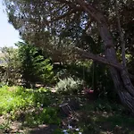 Flh Garden Near Ericeira 신트라